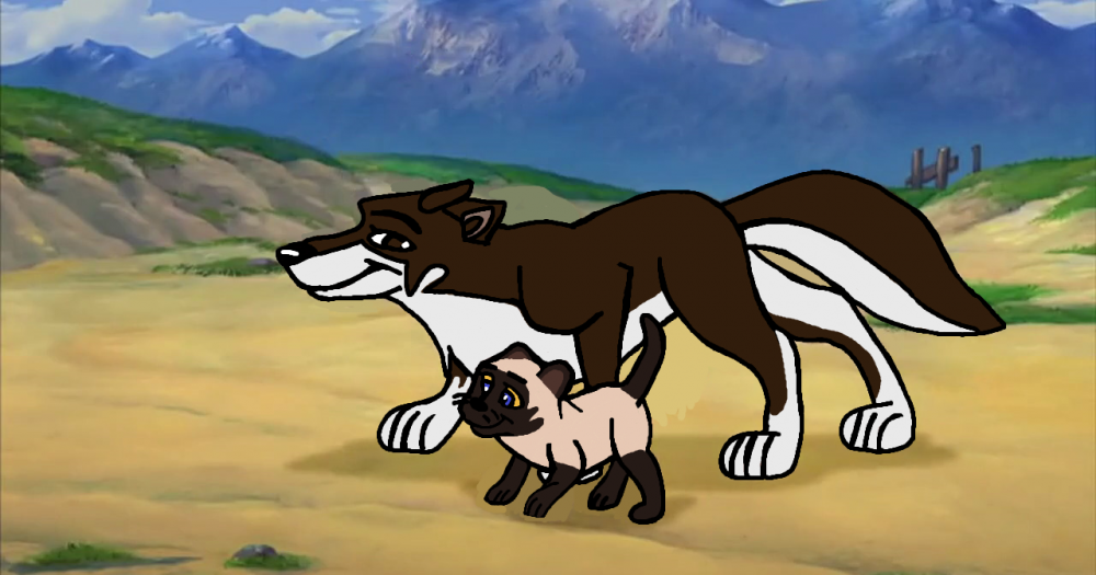Kitty with her Adopted-Dog-Mother: Pepa