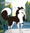 Bailey's full body picture