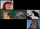 what did Star say or do?