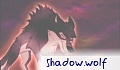 shadowphoenix21