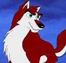 Dingo