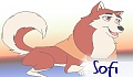 Sofi