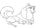 Husky base