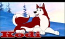 Kodi