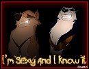 I'm sexy and i know it !
