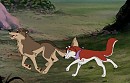 A Run On The Wild Side
