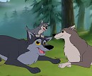 Faolan, Shtiya and Hinto