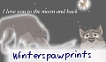 winterspawprints