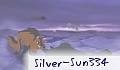 Silver-Sun334