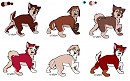 Aleu/Kodi fanpups...LOL
