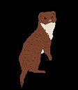 Buck- My new weasel character.