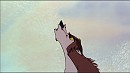 A Wolf's Soul