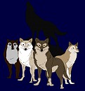 Balto Cover - Wolf's Rain Style