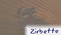 Zirbette