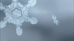 Image Bambi II 