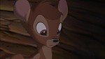 Image Bambi II 