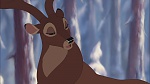 Image Bambi II 