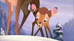 Image Bambi II 