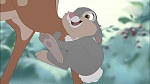 Image Bambi II 