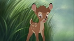 Image Bambi II 