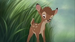 Image Bambi II 