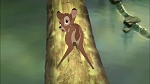 Image Bambi II 