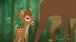 Image Bambi II 