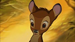 Image Bambi II 