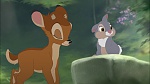 Image Bambi II 