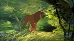 Image Bambi II 