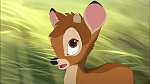 Image Bambi II 