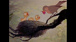Image Bambi