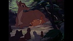 Image Bambi