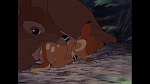 Image Bambi