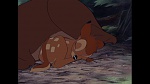 Image Bambi
