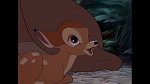 Image Bambi