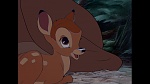 Image Bambi