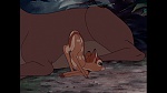 Image Bambi