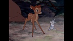 Image Bambi