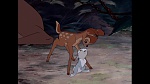 Image Bambi