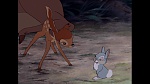 Image Bambi