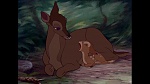 Image Bambi