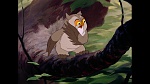 Image Bambi