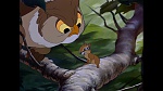 Image Bambi
