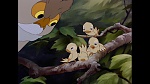 Image Bambi