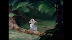 Image Bambi