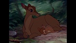 Image Bambi