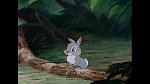 Image Bambi
