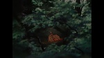 Image Bambi