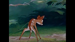 Image Bambi